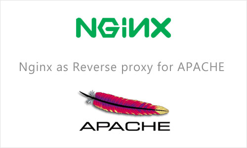 nginx